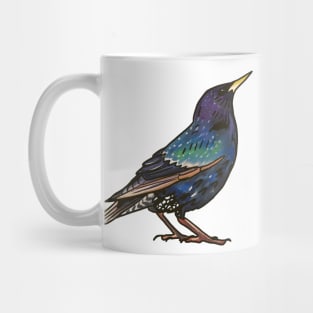 European Starling Mug